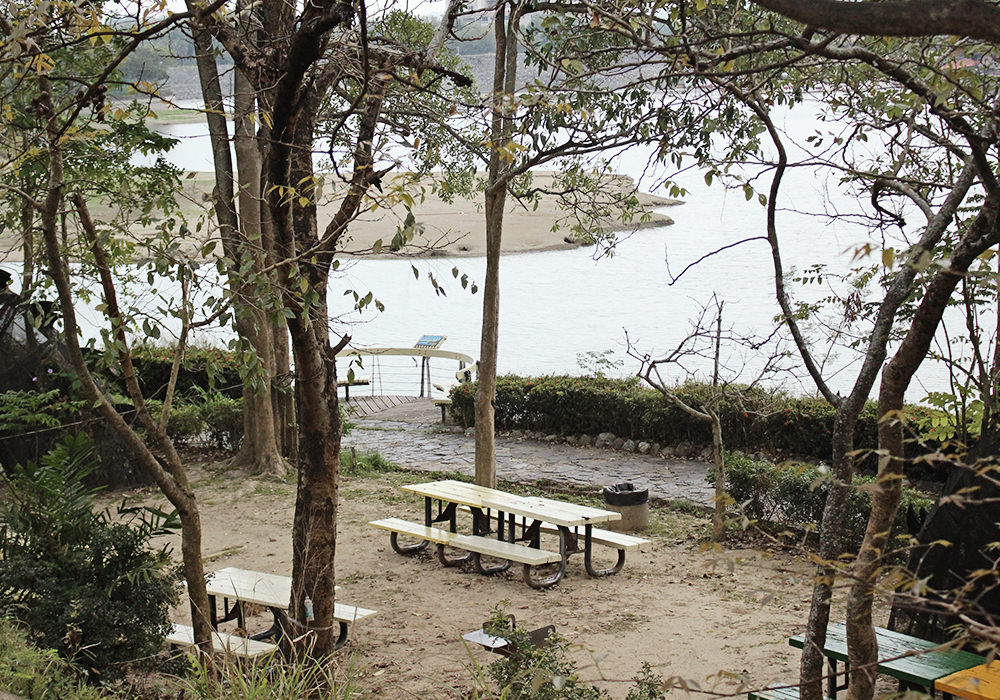 台南新化景點|虎頭埤風景區,全齡式地景遊戲場、全新親子環教生態館(原蟋蟀館)、吊橋咖啡,環湖步道 - 第20張圖