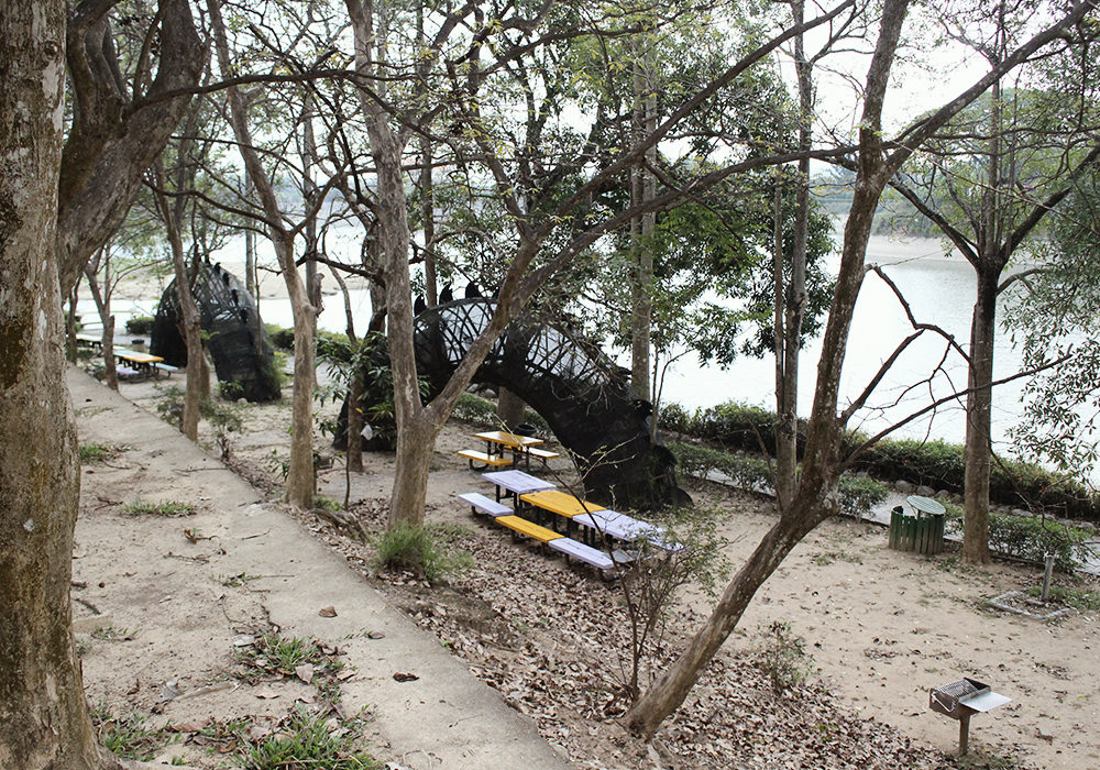 台南新化景點|虎頭埤風景區,全齡式地景遊戲場、全新親子環教生態館(原蟋蟀館)、吊橋咖啡,環湖步道 - 第21張圖
