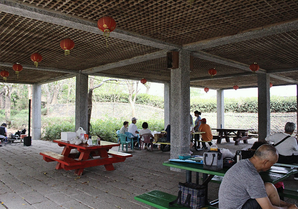 台南新化景點|虎頭埤風景區,全齡式地景遊戲場、全新親子環教生態館(原蟋蟀館)、吊橋咖啡,環湖步道 - 第33張圖