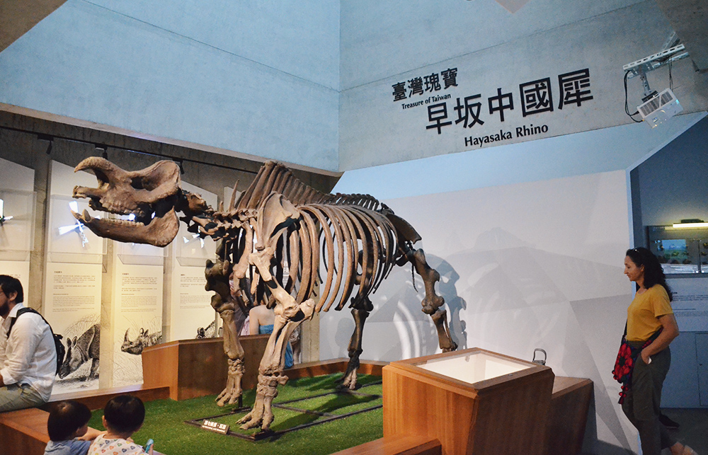 Zuojhen Fossil Park52