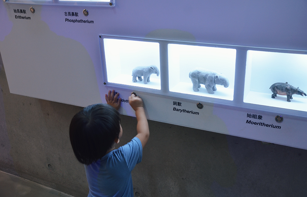 Zuojhen Fossil Park60