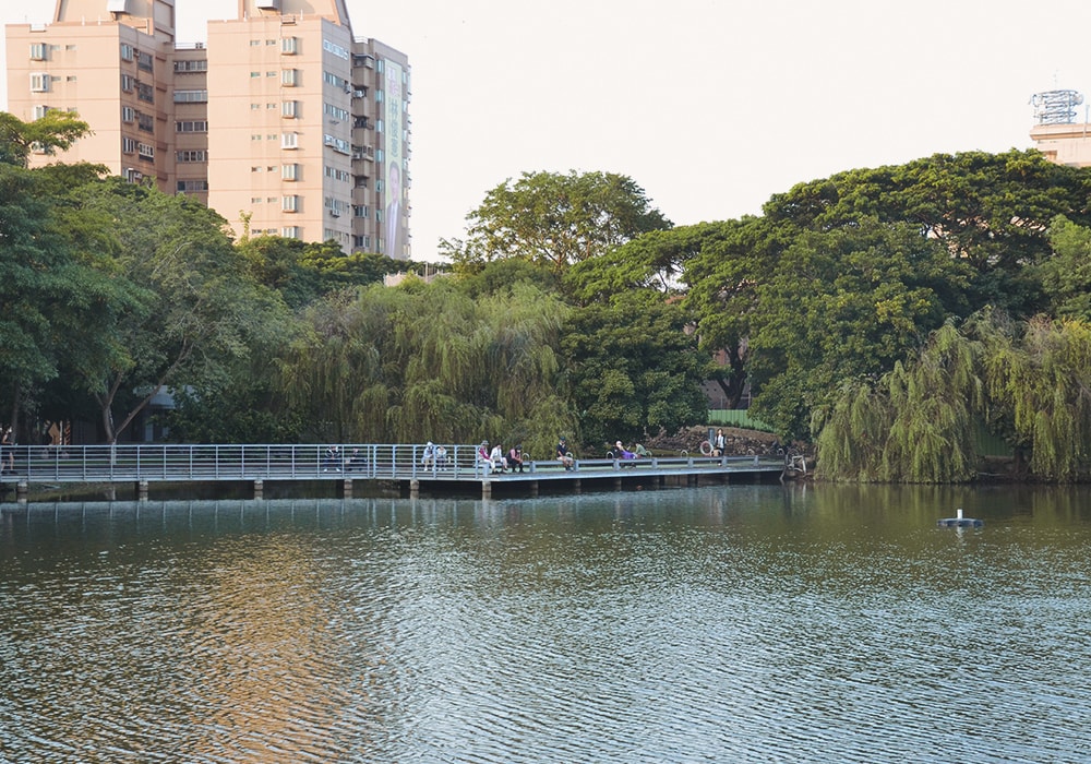 新營人的共同記憶,南瀛綠都心公園,湖上生態島、二層樓景觀台|免費景點 - 第15張圖