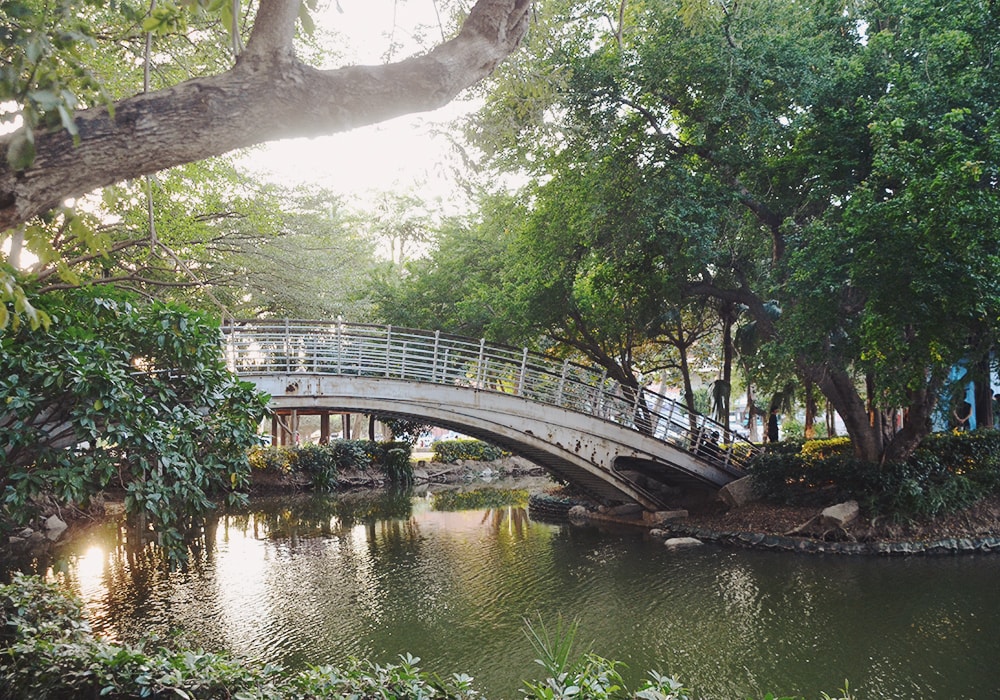 新營人的共同記憶,南瀛綠都心公園,湖上生態島、二層樓景觀台|免費景點 - 第16張圖