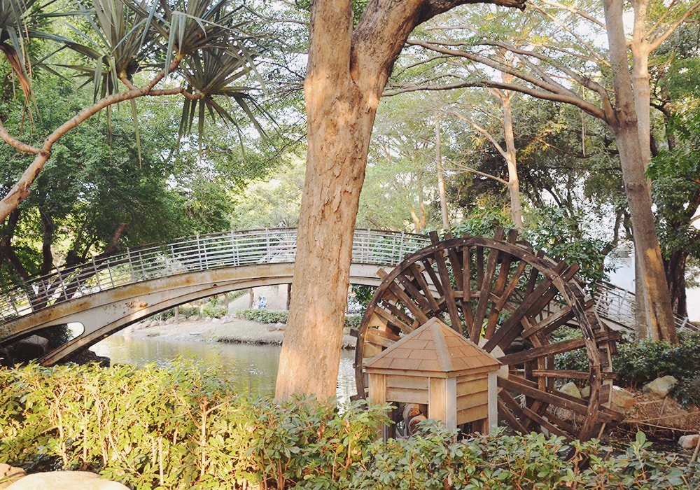 新營人的共同記憶,南瀛綠都心公園,湖上生態島、二層樓景觀台|免費景點 - 第19張圖