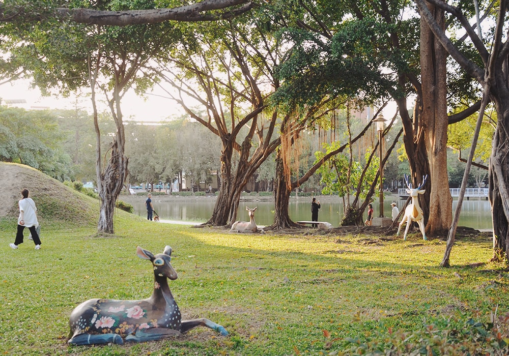 新營人的共同記憶,南瀛綠都心公園,湖上生態島、二層樓景觀台|免費景點 - 第12張圖