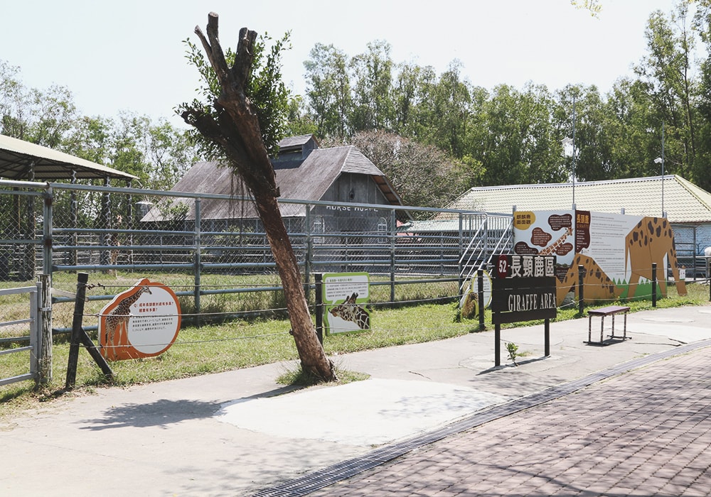 南臺灣最大野生動物園,頑皮世界門票,動物園、水樂園、遊樂園,一票玩到底!值得去嗎?園區餐廳吃什麼?| - 第33張圖