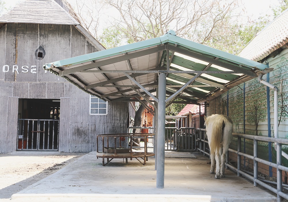南臺灣最大野生動物園,頑皮世界門票,動物園、水樂園、遊樂園,一票玩到底!值得去嗎?園區餐廳吃什麼?| - 第35張圖