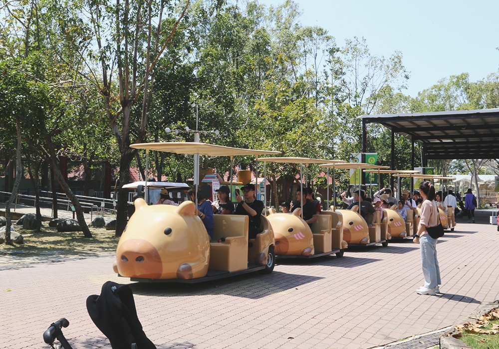 南臺灣最大野生動物園,頑皮世界門票,動物園、水樂園、遊樂園,一票玩到底!值得去嗎?園區餐廳吃什麼?| - 第46張圖