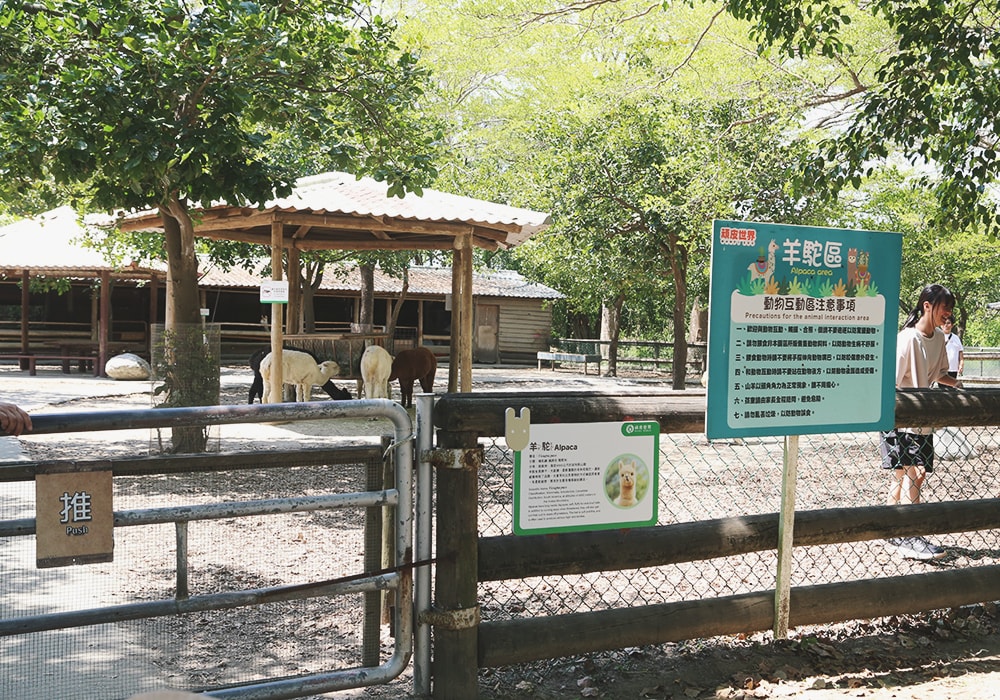 南臺灣最大野生動物園,頑皮世界門票,動物園、水樂園、遊樂園,一票玩到底!值得去嗎?園區餐廳吃什麼?| - 第24張圖