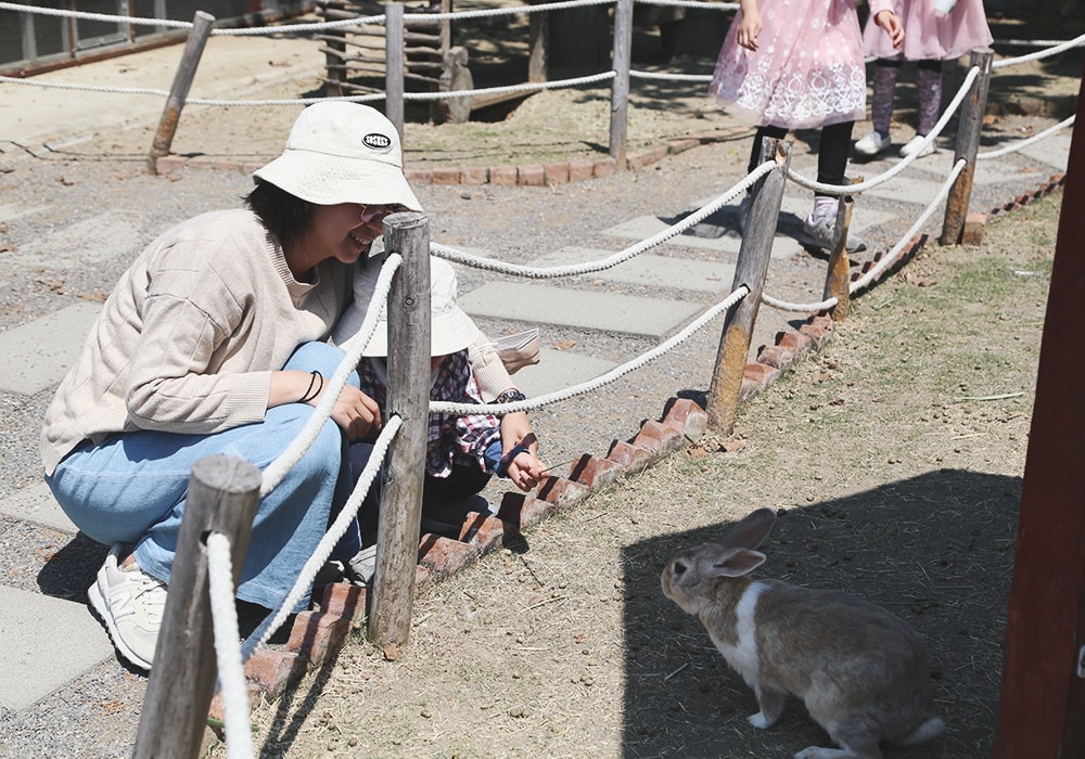 南臺灣最大野生動物園,頑皮世界門票,動物園、水樂園、遊樂園,一票玩到底!值得去嗎?園區餐廳吃什麼?| - 第22張圖