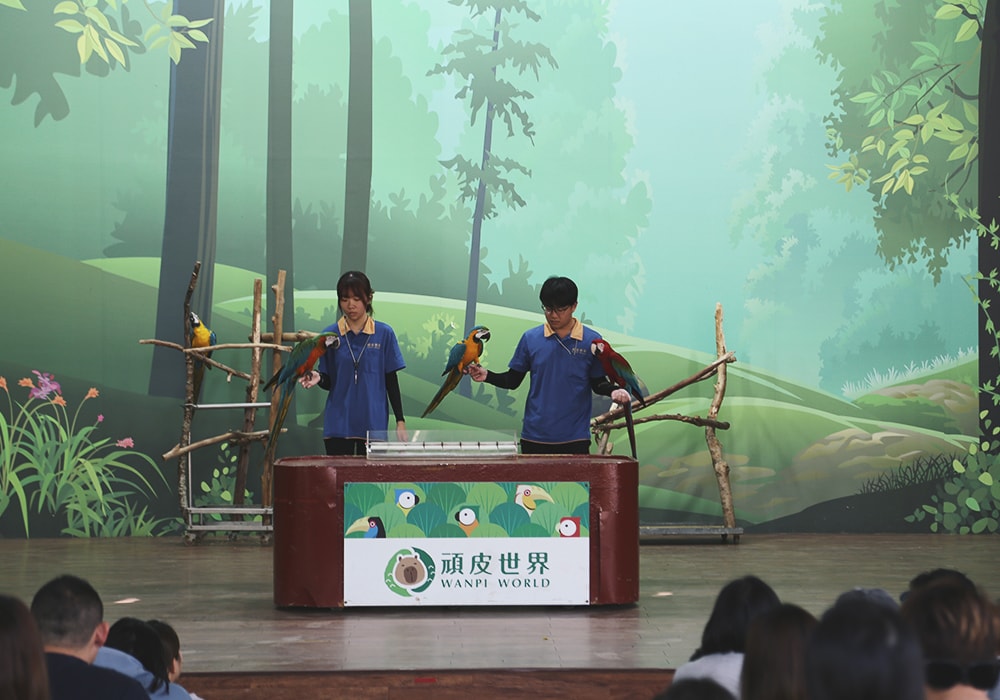 南臺灣最大野生動物園,頑皮世界門票,動物園、水樂園、遊樂園,一票玩到底!值得去嗎?園區餐廳吃什麼?| - 第39張圖