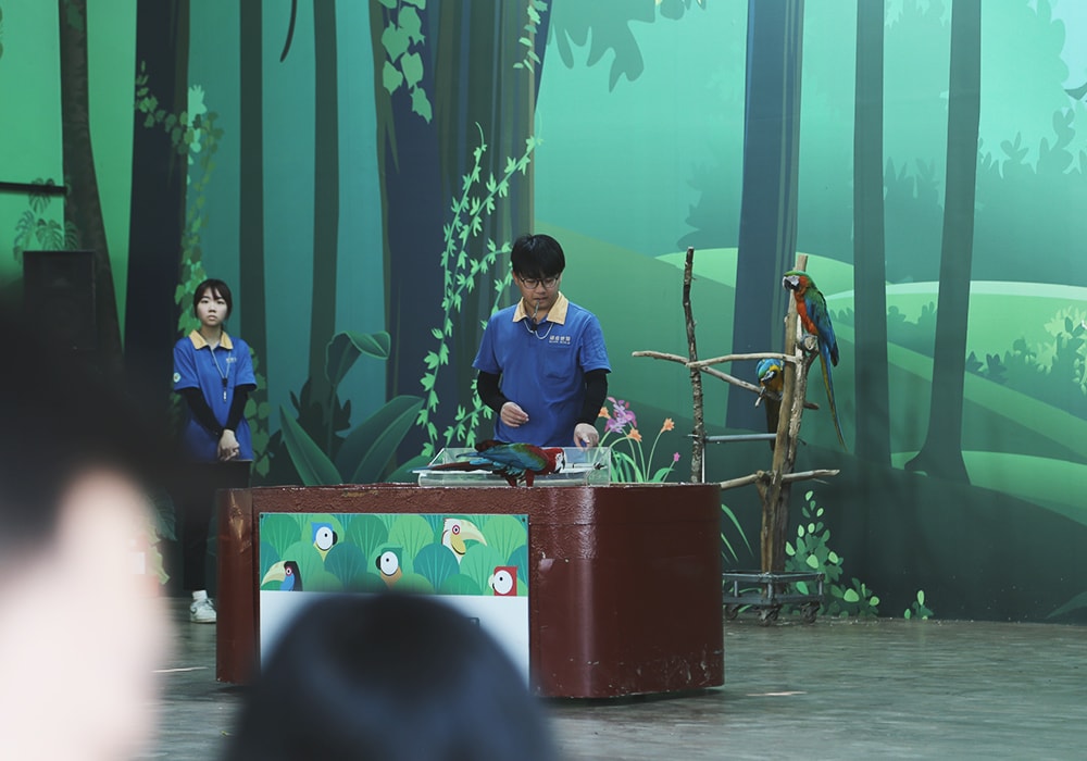 南臺灣最大野生動物園,頑皮世界門票,動物園、水樂園、遊樂園,一票玩到底!值得去嗎?園區餐廳吃什麼?| - 第40張圖
