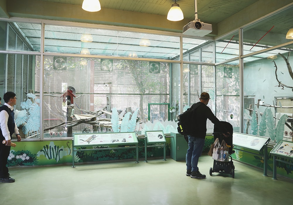 南臺灣最大野生動物園,頑皮世界門票,動物園、水樂園、遊樂園,一票玩到底!值得去嗎?園區餐廳吃什麼?| - 第58張圖