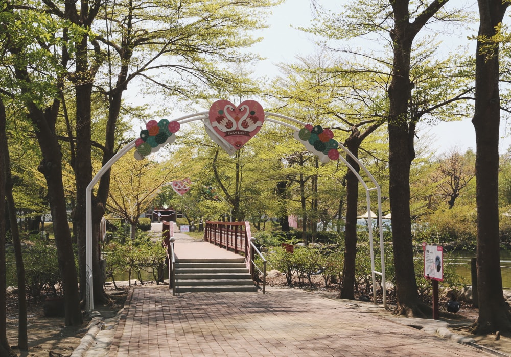 南臺灣最大野生動物園,頑皮世界門票,動物園、水樂園、遊樂園,一票玩到底!值得去嗎?園區餐廳吃什麼?| - 第77張圖