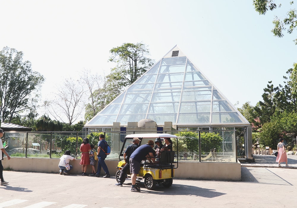 南臺灣最大野生動物園,頑皮世界門票,動物園、水樂園、遊樂園,一票玩到底!值得去嗎?園區餐廳吃什麼?| - 第75張圖