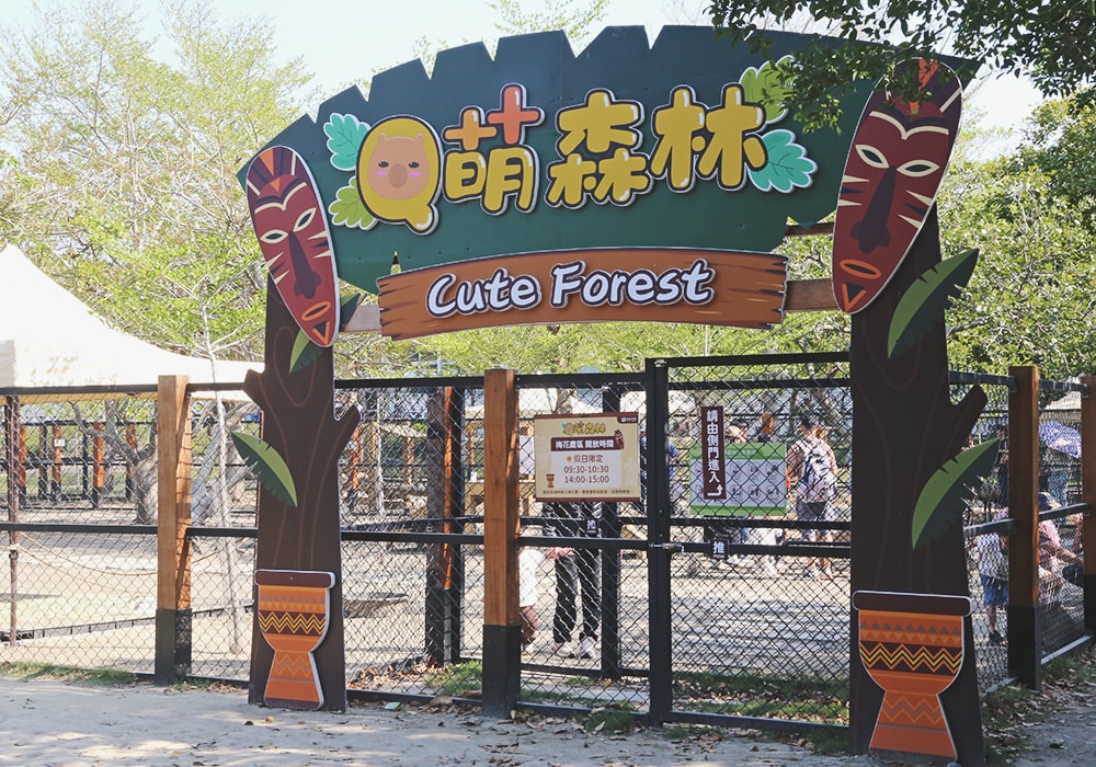 南臺灣最大野生動物園,頑皮世界門票,動物園、水樂園、遊樂園,一票玩到底!值得去嗎?園區餐廳吃什麼?| - 第11張圖
