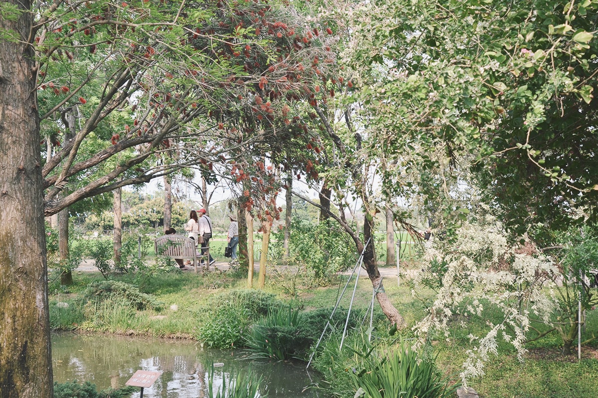 後壁免費景點,雅聞湖濱療癒森林,迷你歐式小屋、千坪玫瑰花園、遊戲沙坑,全家同遊景點 - 第16張圖