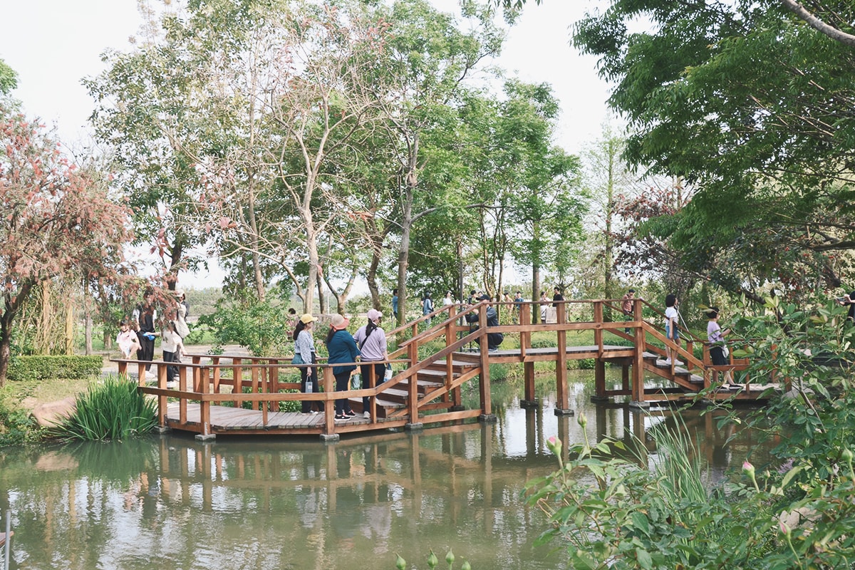 後壁免費景點,雅聞湖濱療癒森林,迷你歐式小屋、千坪玫瑰花園、遊戲沙坑,全家同遊景點 - 第18張圖