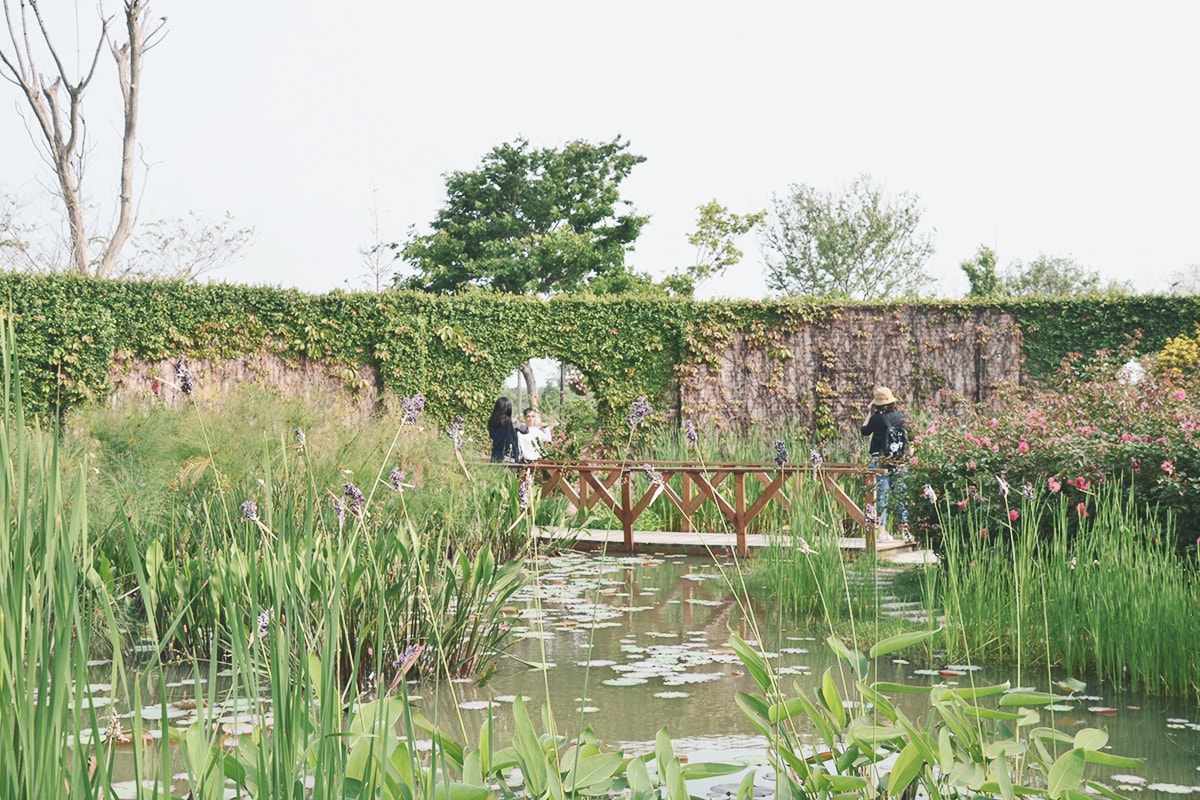 後壁免費景點,雅聞湖濱療癒森林,迷你歐式小屋、千坪玫瑰花園、遊戲沙坑,全家同遊景點 - 第19張圖