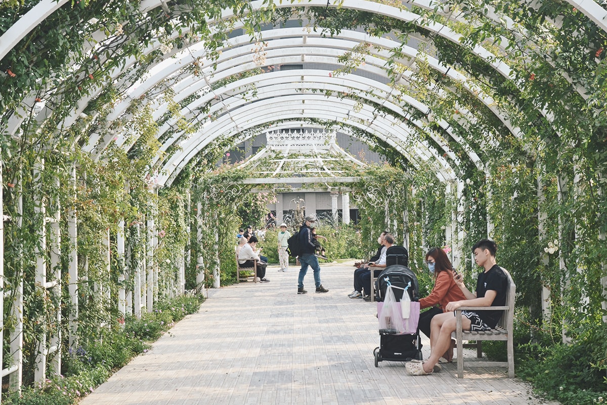 後壁免費景點,雅聞湖濱療癒森林,迷你歐式小屋、千坪玫瑰花園、遊戲沙坑,全家同遊景點 - 第21張圖