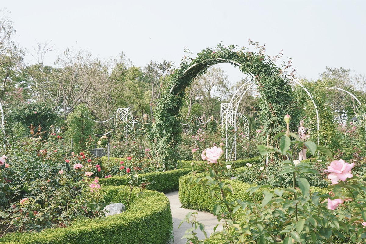 後壁免費景點,雅聞湖濱療癒森林,迷你歐式小屋、千坪玫瑰花園、遊戲沙坑,全家同遊景點 - 第8張圖