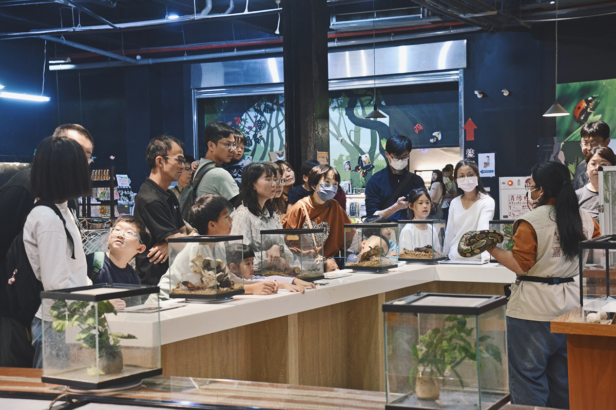 喜歡昆蟲別錯過!嘉大昆蟲館,溫室蝴蝶花園,空中蝴蝶廊道,全台唯一彩蝶柱 - 第28張圖