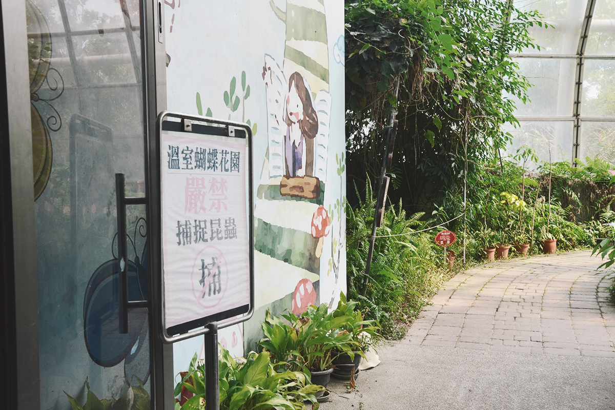 喜歡昆蟲別錯過!嘉大昆蟲館,溫室蝴蝶花園,空中蝴蝶廊道,全台唯一彩蝶柱 - 第19張圖