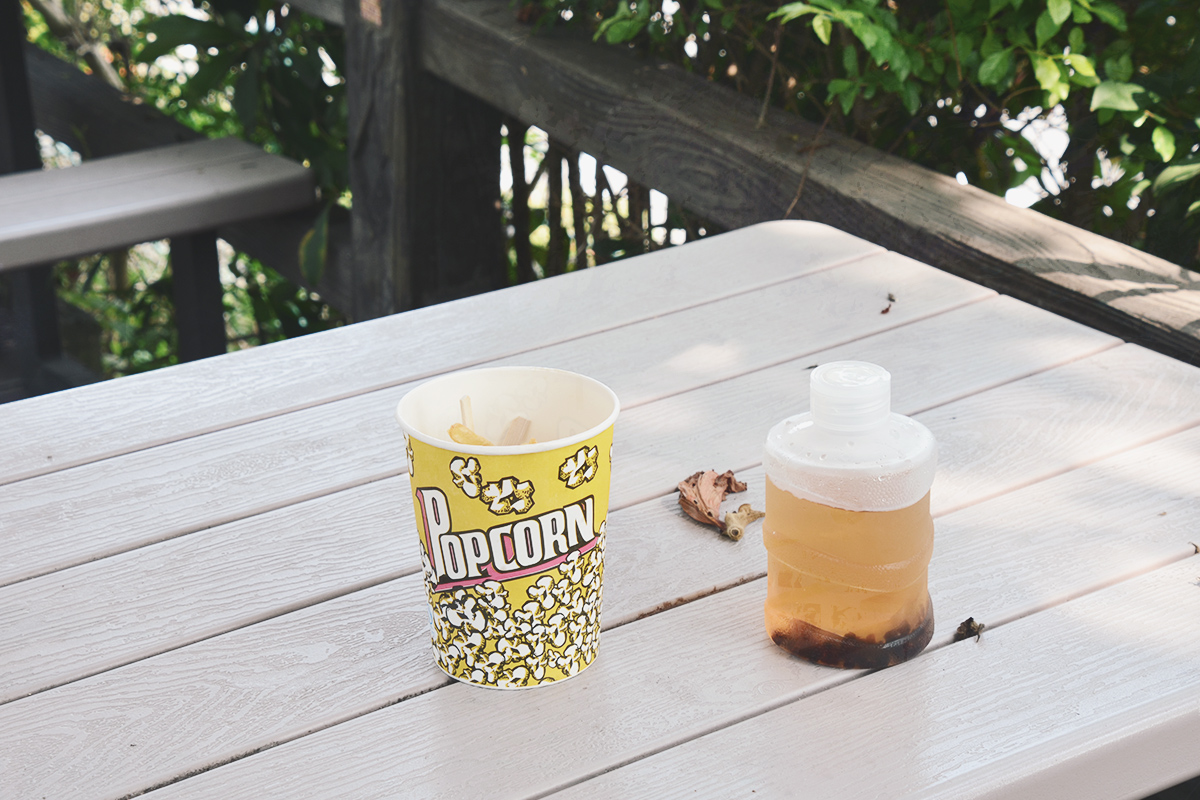 喜歡昆蟲別錯過!嘉大昆蟲館,溫室蝴蝶花園,空中蝴蝶廊道,全台唯一彩蝶柱 - 第37張圖