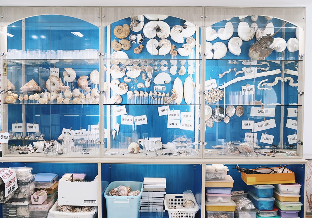 墾丁雨備行程,免門票參觀貝殼美術館,親子DIY專屬紀念品|恆春景點 - 第17張圖