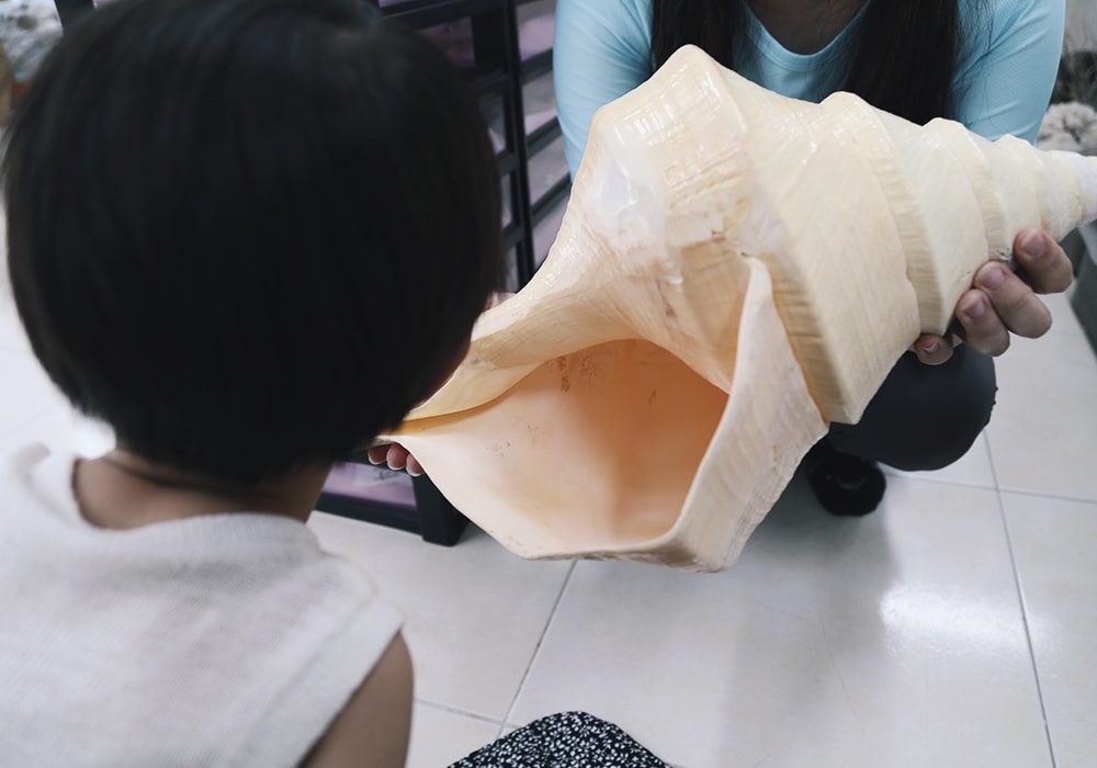 墾丁雨備行程,免門票參觀貝殼美術館,親子DIY專屬紀念品|恆春景點 - 第16張圖