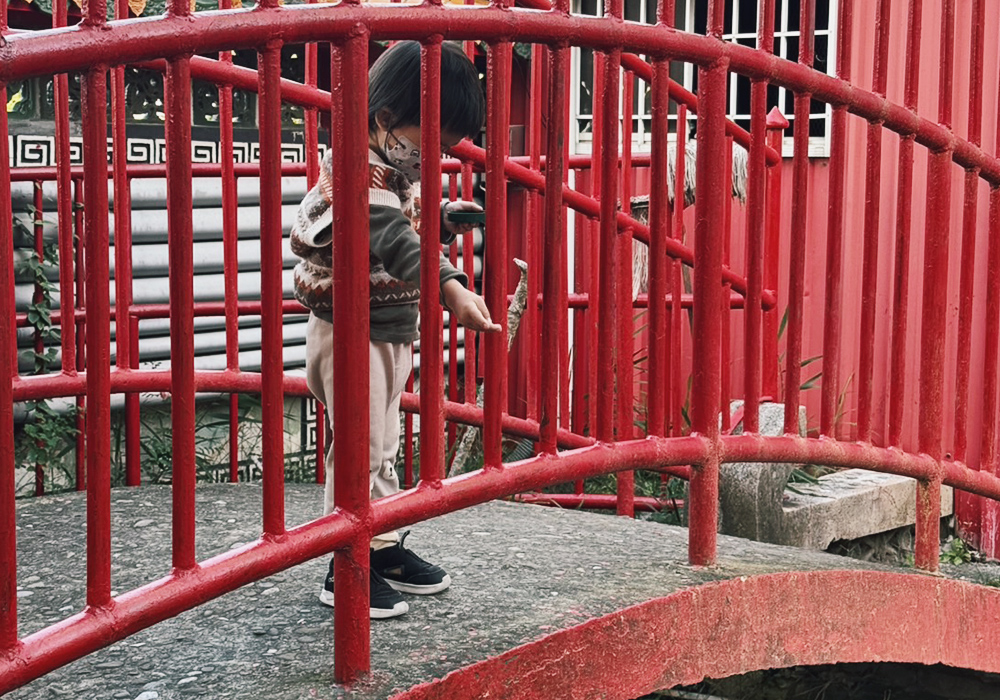 台南7個餵動物、餵魚景點,戶外休閒農場、特色公園、動物園|親子景點 - 第22張圖