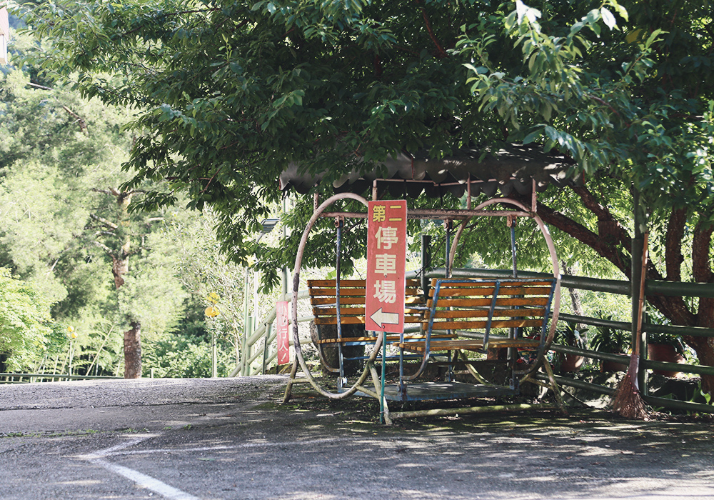 溪頭住宿推薦|金台灣山莊,木屋住一晚!房間能眺望群山雲海,大啖山菜料理|一泊二食 - 第5張圖