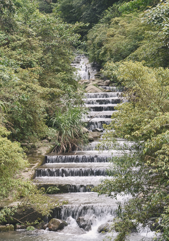 溪頭住宿推薦|金台灣山莊,木屋住一晚!房間能眺望群山雲海,大啖山菜料理|一泊二食 - 第75張圖