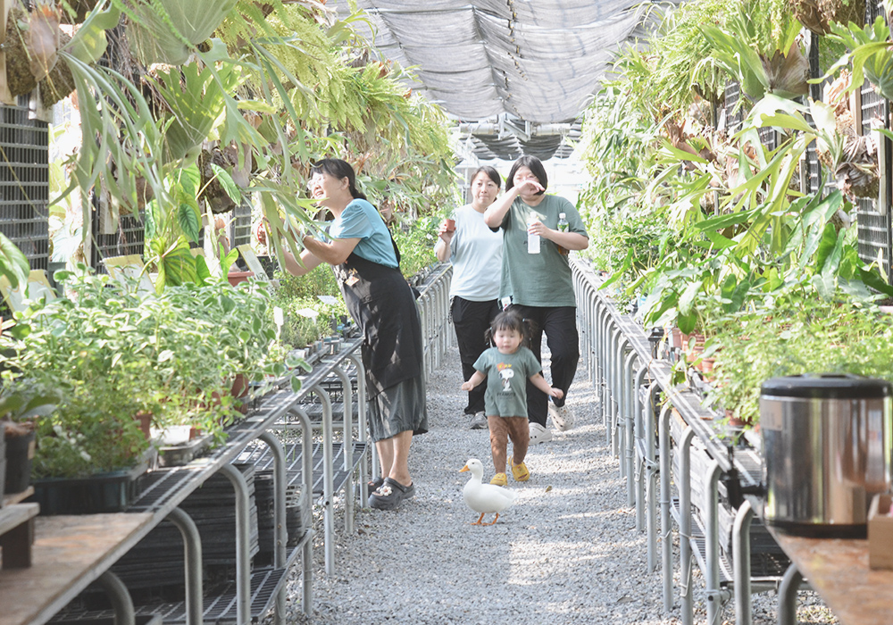 家庭團體聚會烤肉推薦,春園親子農場,戲水池、兒童遊樂設施、沙坑免費玩!七股親子景點 - 第29張圖