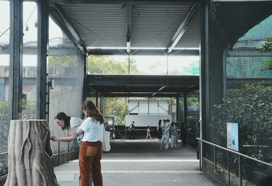 沖繩親子景點|沖繩兒童王國值得去嗎?15歲以下免門票!動物園、遊樂設施、室內互動館 - 第37張圖 沖繩親子景點|沖繩兒童王國值得去嗎?15歲以下免門票!動物園、遊樂設施、室內互動館