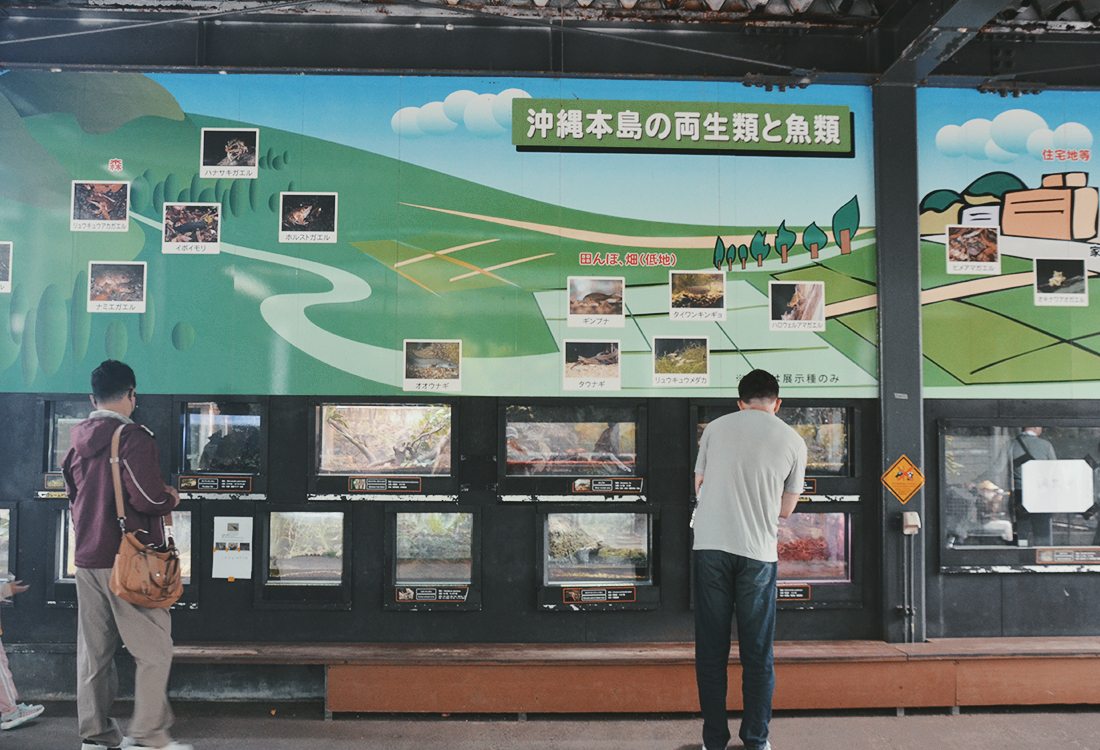 沖繩親子景點|沖繩兒童王國值得去嗎?15歲以下免門票!動物園、遊樂設施、室內互動館 - 第38張圖 沖繩親子景點|沖繩兒童王國值得去嗎?15歲以下免門票!動物園、遊樂設施、室內互動館