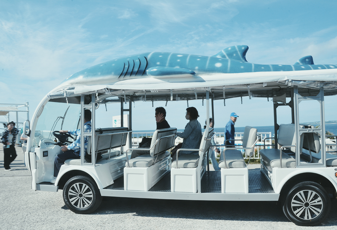 亞洲最大水槽！美麗海水族館遊玩攻略、必看重點！免費海豚劇場，鯨鯊超震撼！來美麗海吃什麼?
