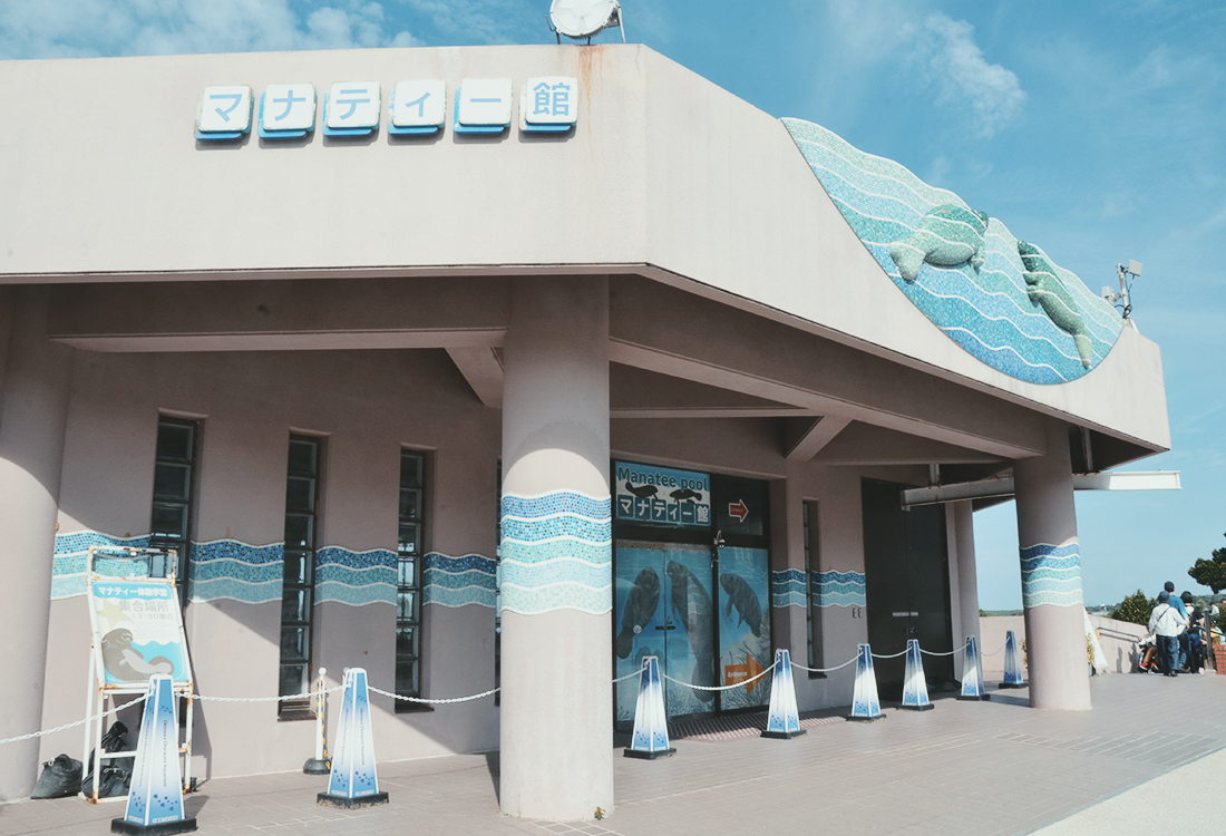 亞洲最大水槽！美麗海水族館遊玩攻略、必看重點！免費海豚劇場，鯨鯊超震撼！來美麗海吃什麼?