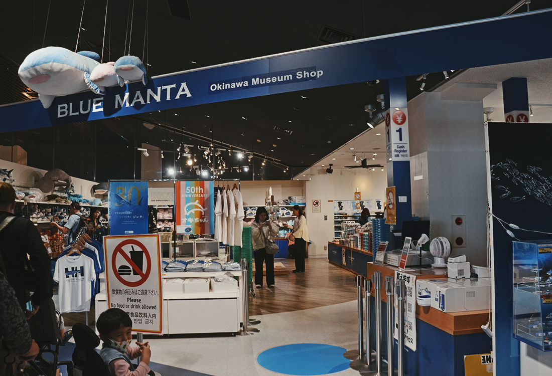 亞洲最大水槽！美麗海水族館遊玩攻略、必看重點！免費海豚劇場，鯨鯊超震撼！來美麗海吃什麼?