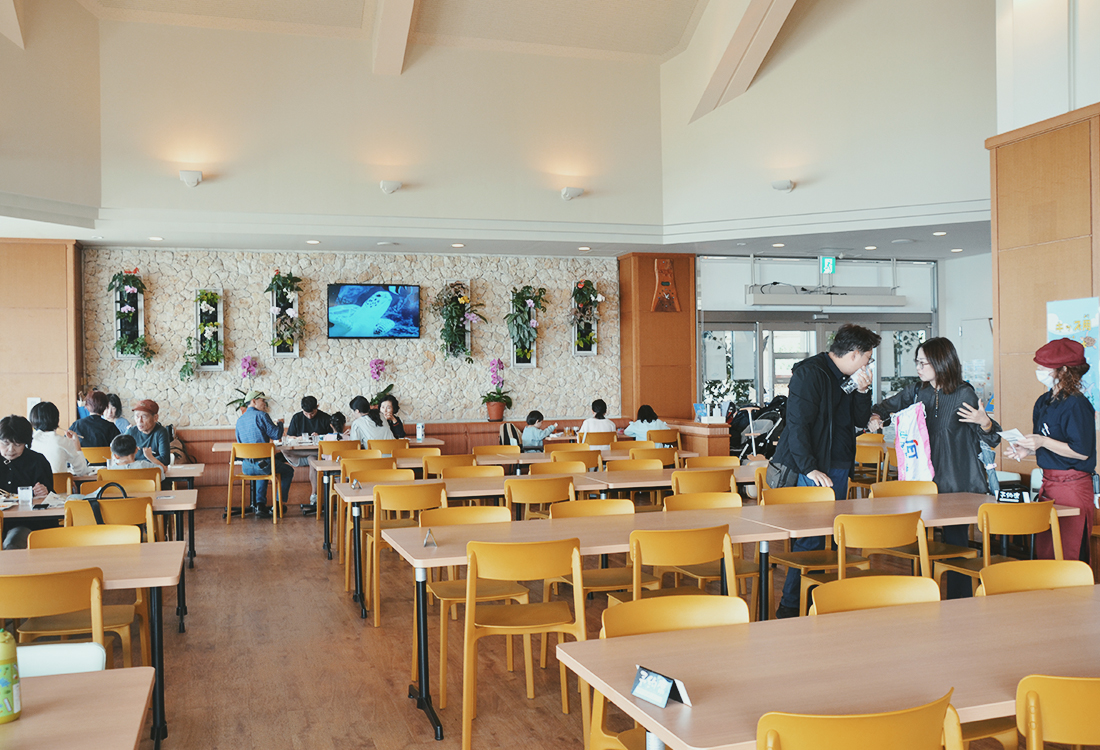 海景第一排太享受！美麗海水族館INOH午餐吃到飽，苦瓜天婦羅、沖繩麵，自助超豐盛，親子友善又好吃！｜美麗海水族館午餐