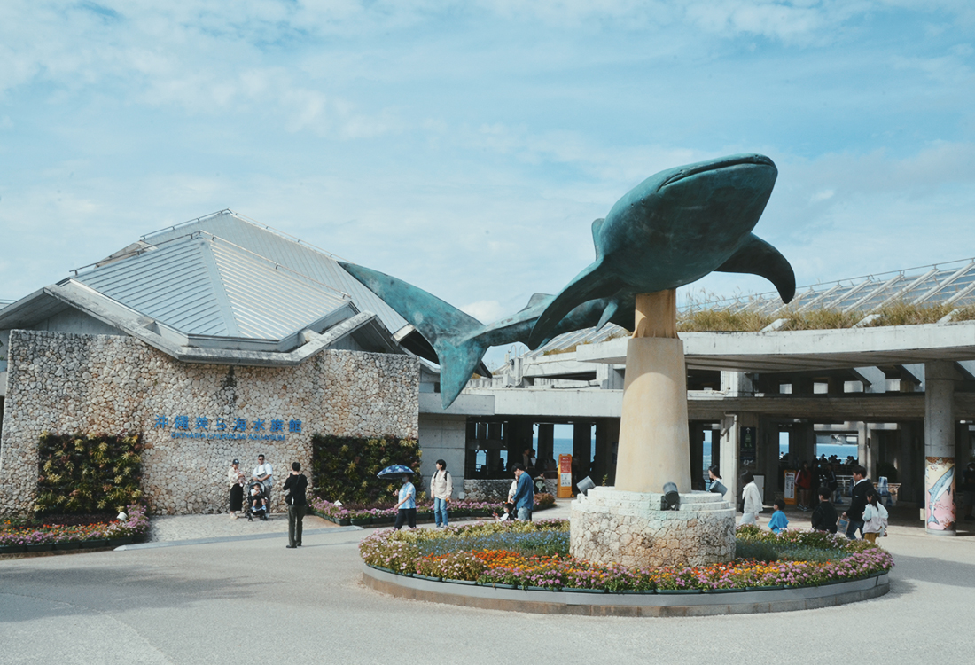 亞洲最大水槽！美麗海水族館遊玩攻略、必看重點！免費海豚劇場，鯨鯊超震撼！來美麗海吃什麼?