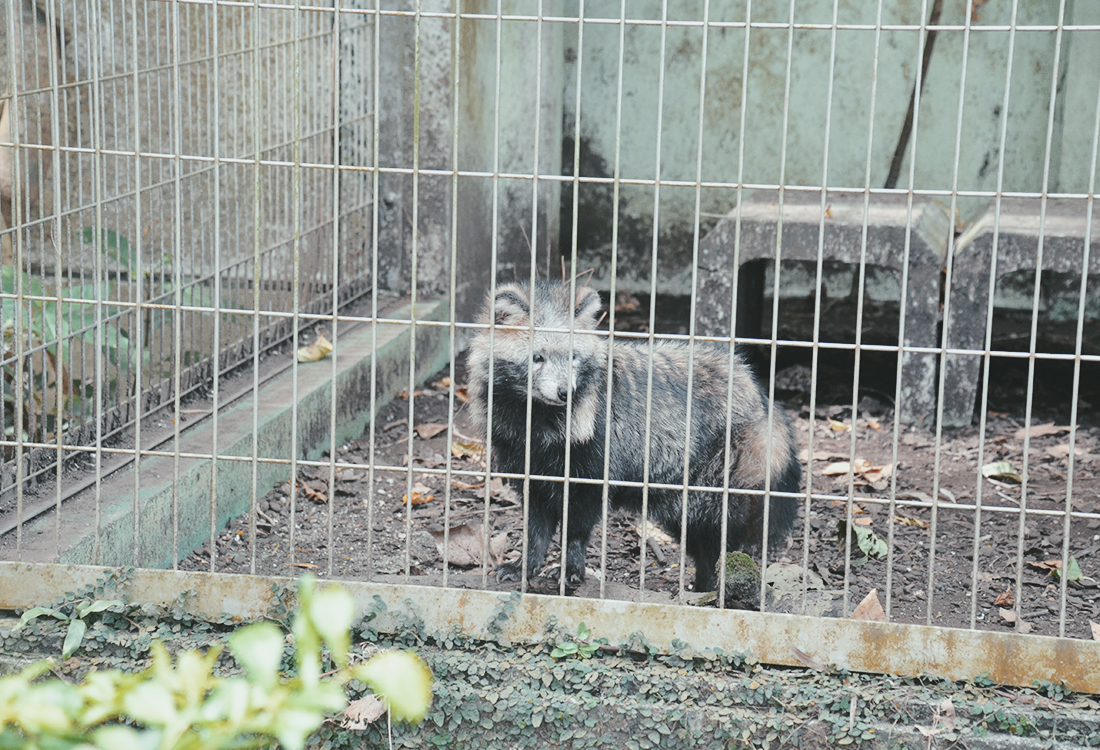 沖繩親子景點|沖繩兒童王國值得去嗎?15歲以下免門票!動物園、遊樂設施、室內互動館 - 第30張圖 沖繩親子景點|沖繩兒童王國值得去嗎?15歲以下免門票!動物園、遊樂設施、室內互動館